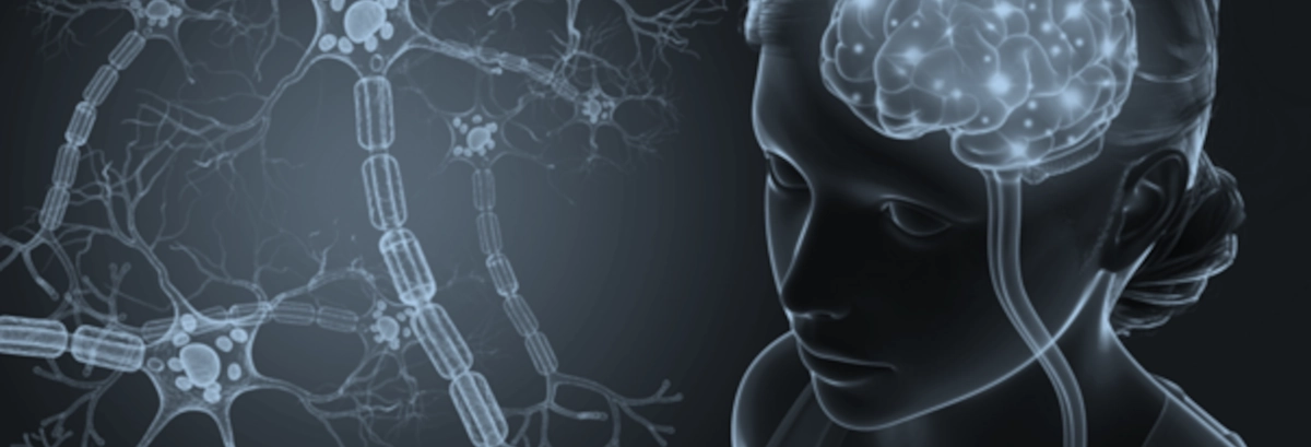 doorzichtig hoofd met zichtbare hersenen en op de achtergrond zenuwcellen